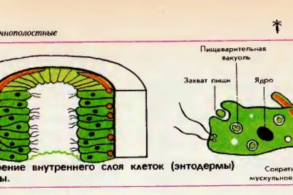 Маркет плейс кракен маркетплейс