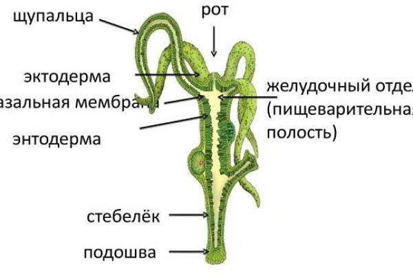 Кракен даркнет плейс